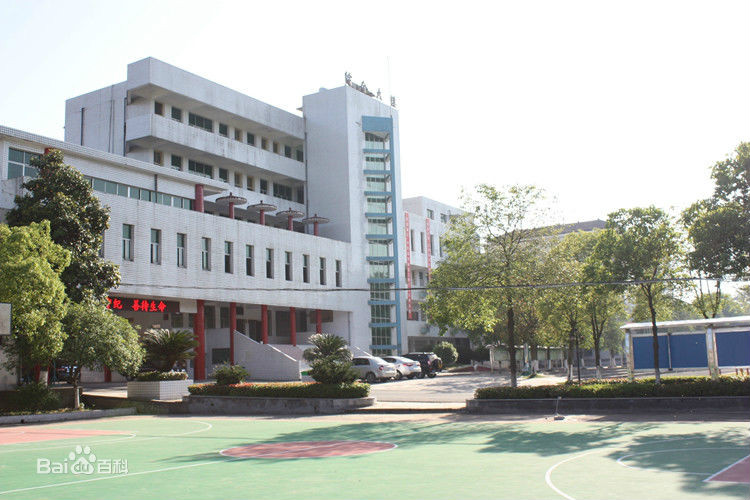 桃源县第八中学