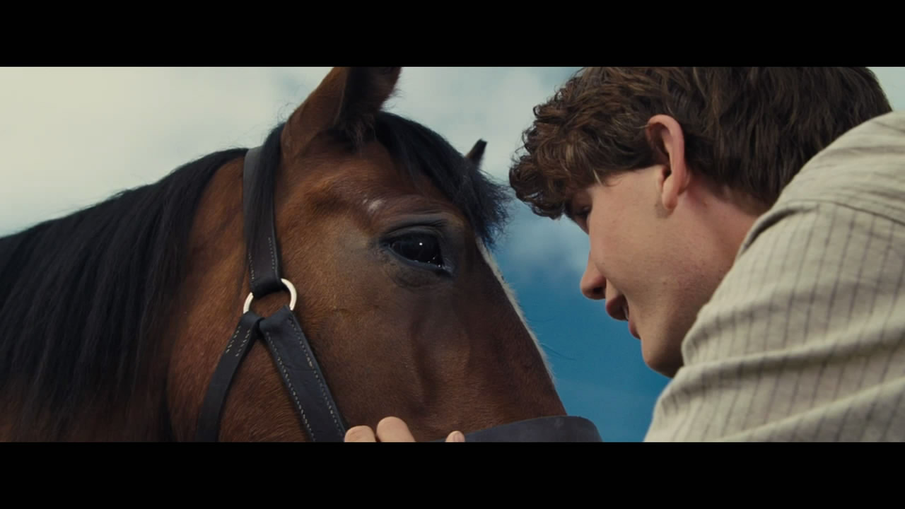 war horse