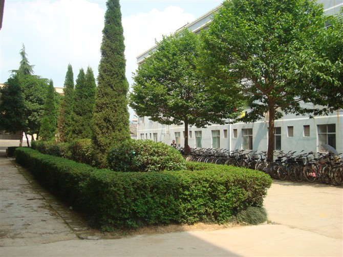 安远县第二中学