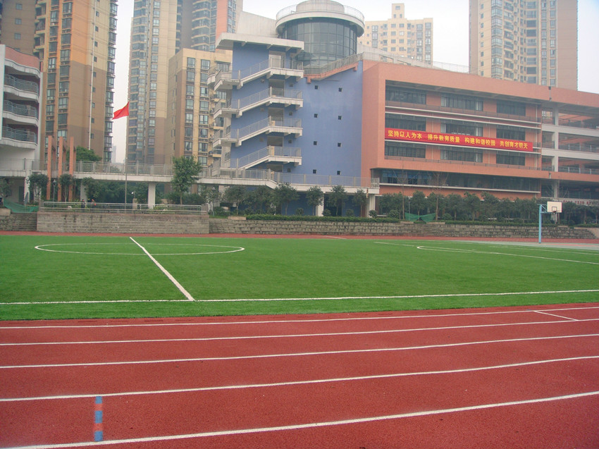 重庆市高新区育才学校