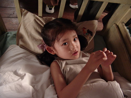 guerra dei fiori rossi