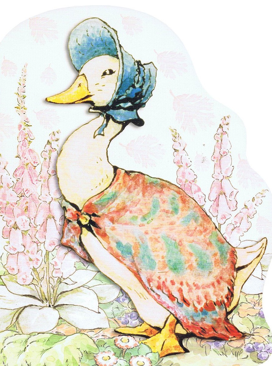 鸭子杰米玛·帕德尔