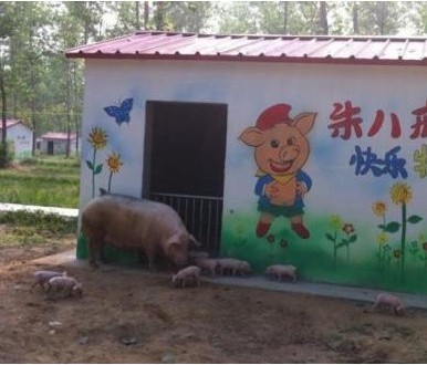 猪别墅