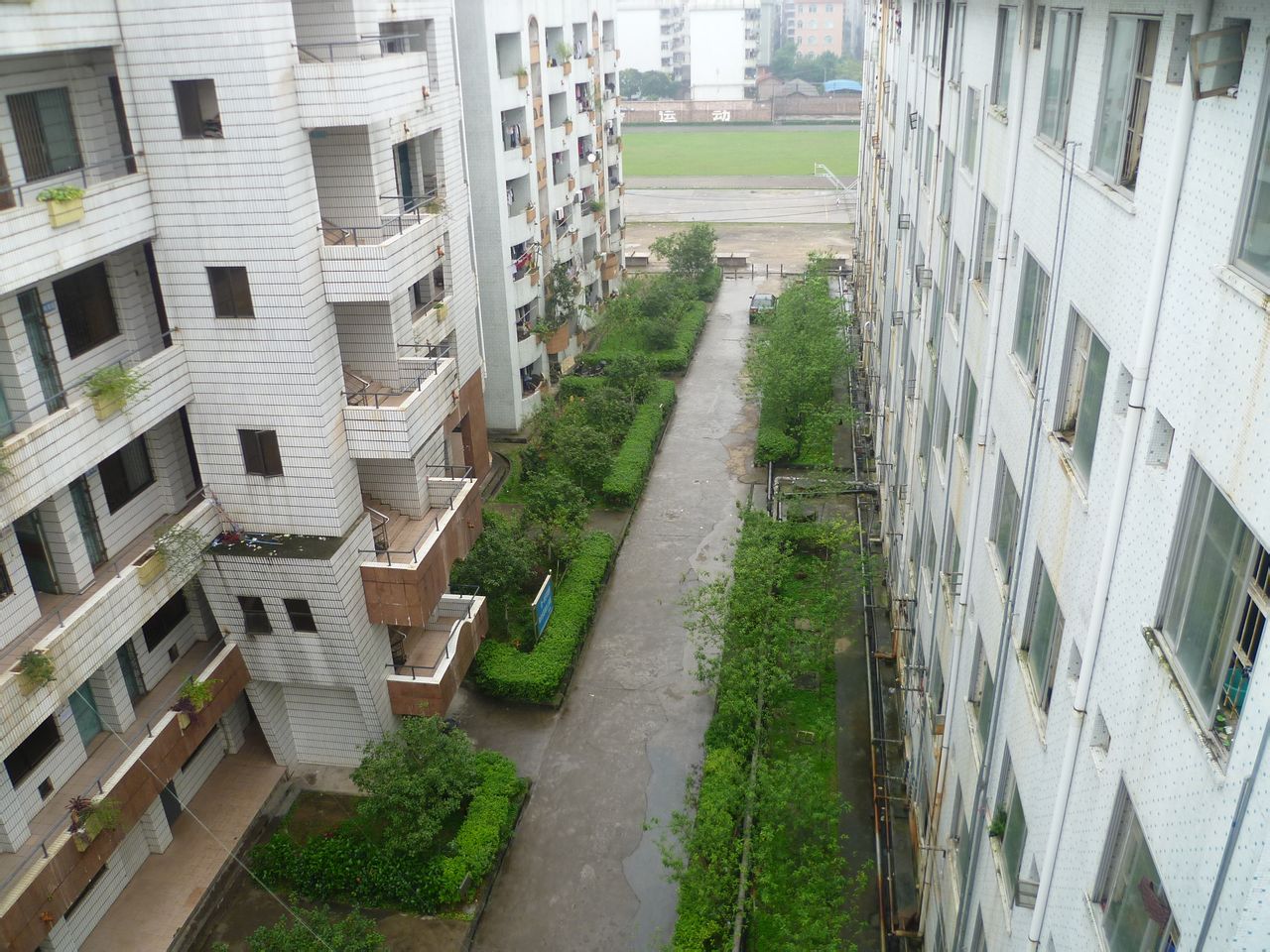 玉林市苗园中学