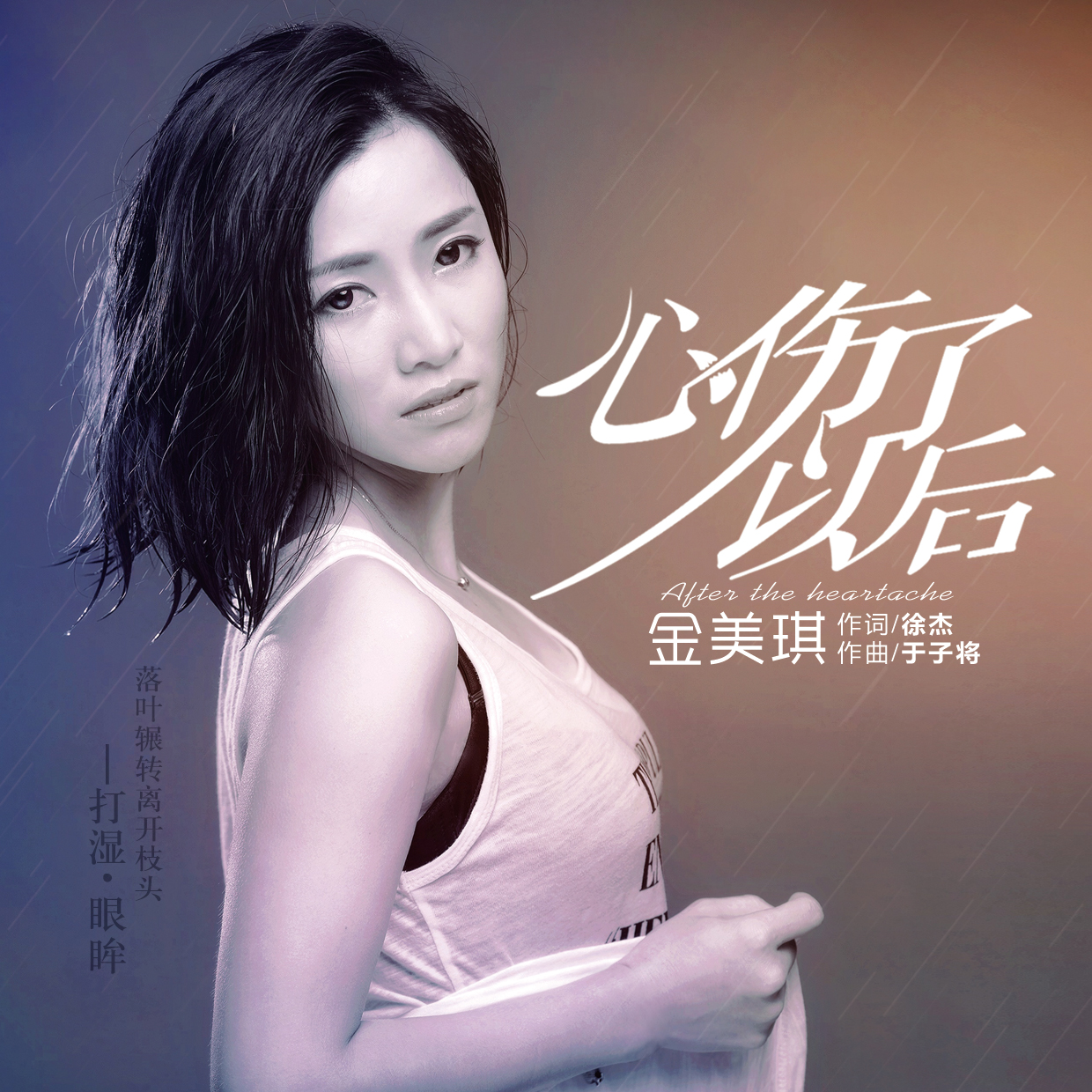 由徐杰作词,于子将作曲,是金美琪2017年的主打歌之一,