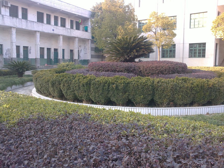 华容县第五中学