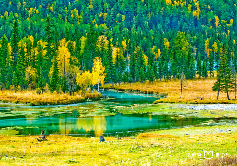 新疆喀纳斯景区