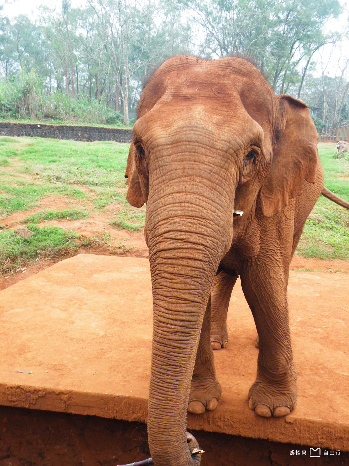 海南热带野生动物园