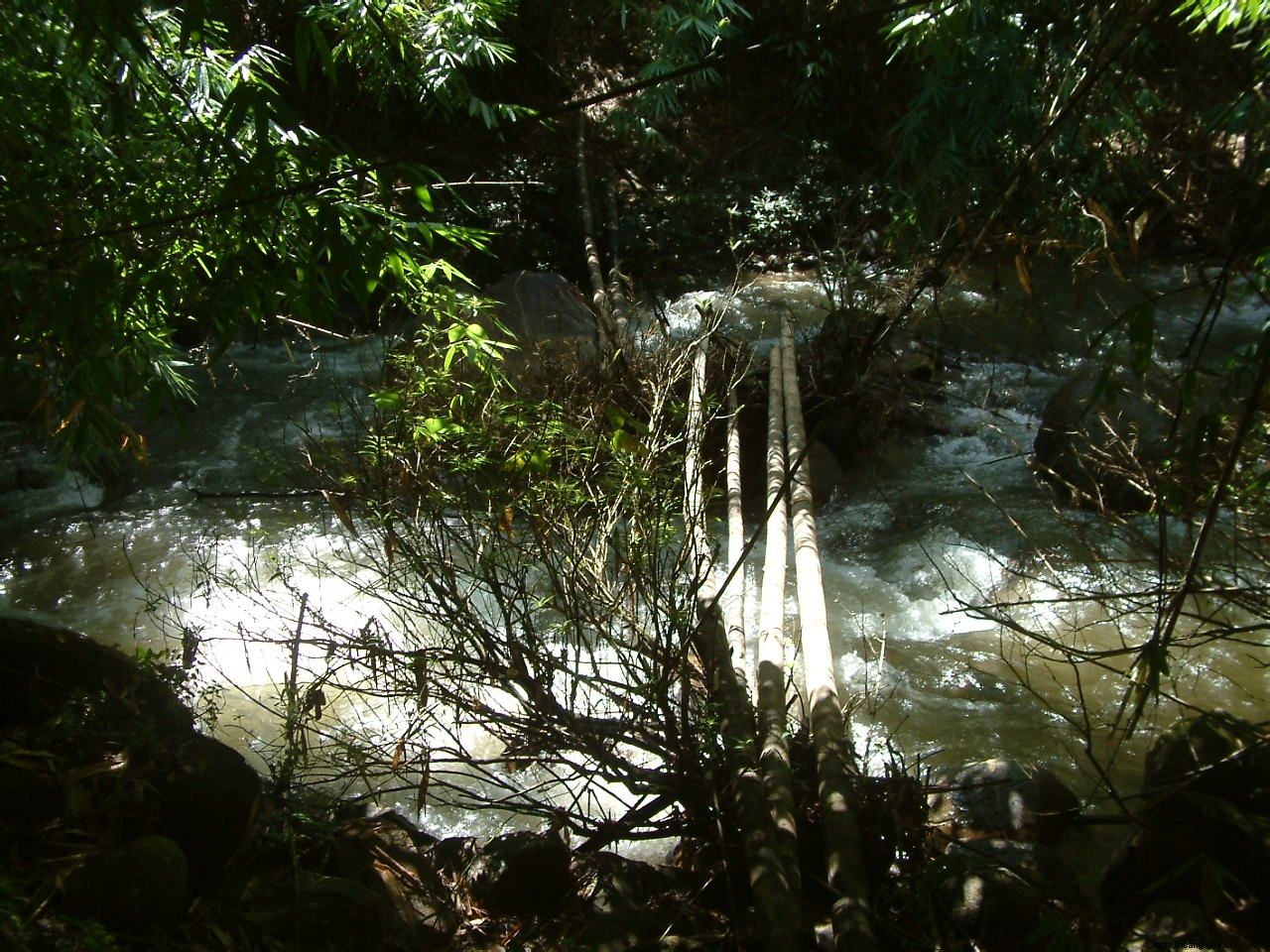 南滚河国家及自然保护区
