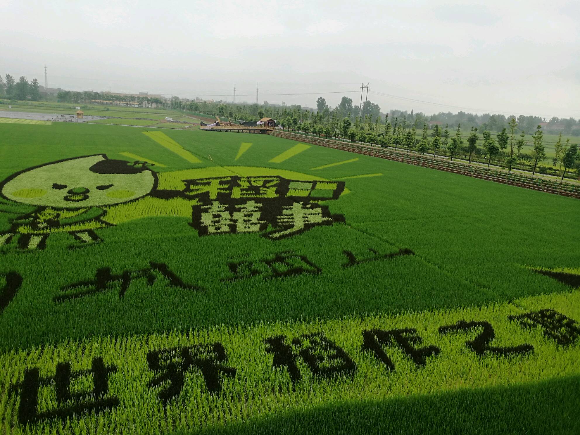 城头山稻田彩绘