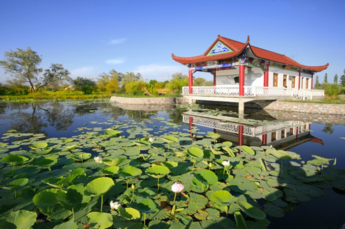 清水湖生态园