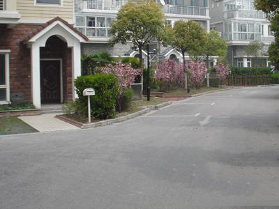 南郊花园富兰克林