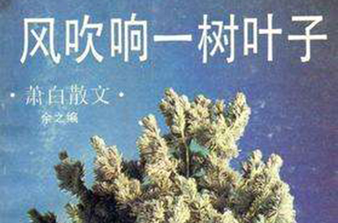 风吹响一树叶子