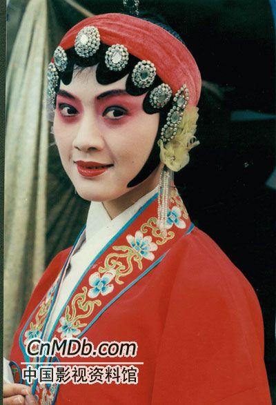 关中匪事