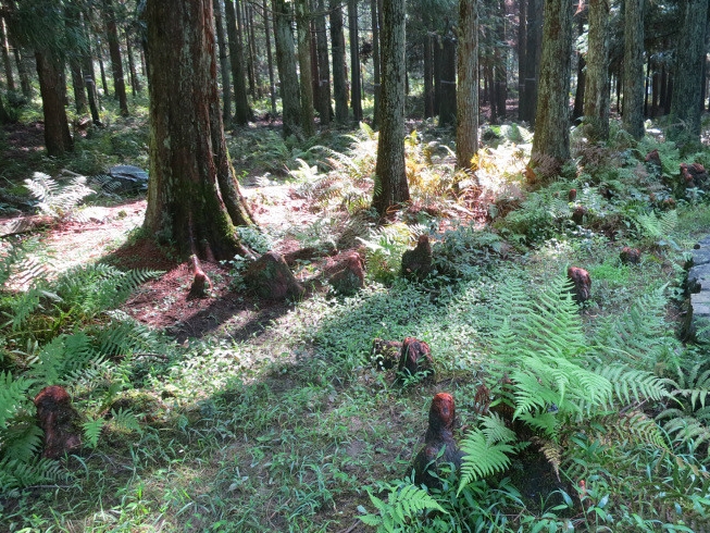 浙江永嘉四海山森林公园