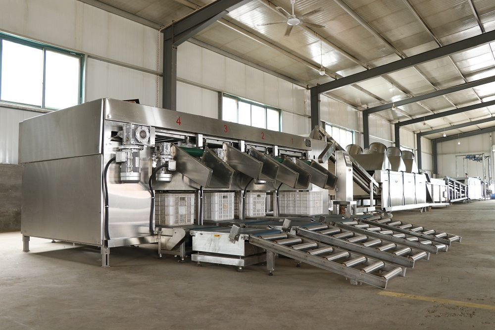 山东薯鑫生态农业发展有限公司