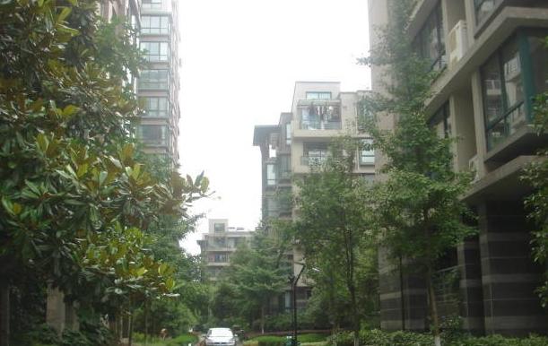浅水湾城市花园