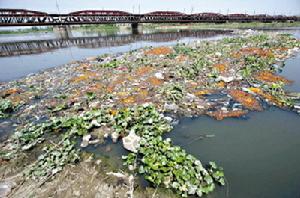 6vjsu">水葬是世界上比较古老的葬法,即将死者遗体投于江河湖海的葬法