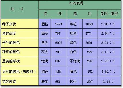 孟德尔定理展示