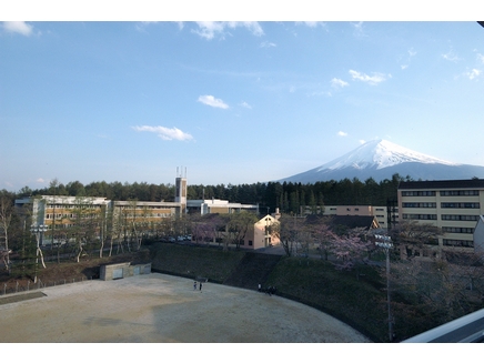  p>昭和 a data-lemmaid="5579">大学 /a>,英文名称:showa university