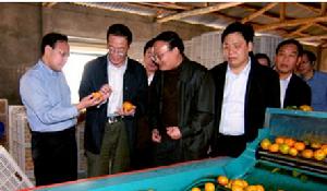  p>均县镇隶属于湖北省 a target="_blank" href="/item/丹江口市