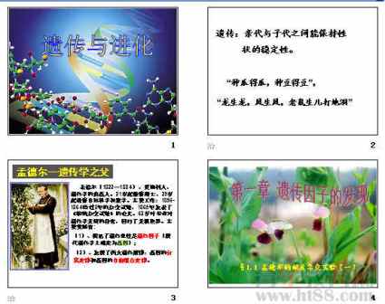 孟德尔定理展示