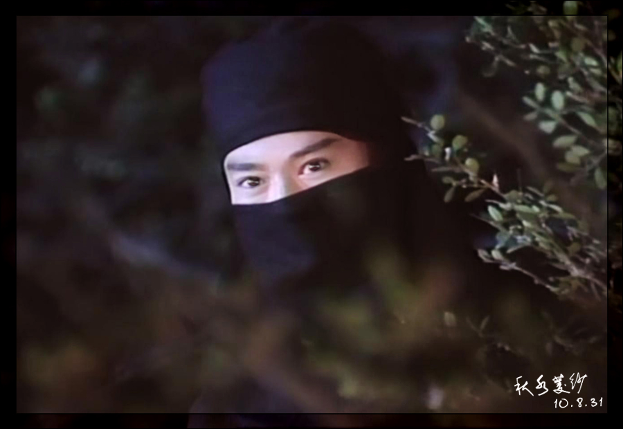 江湖奇侠传之龙凤恩仇录