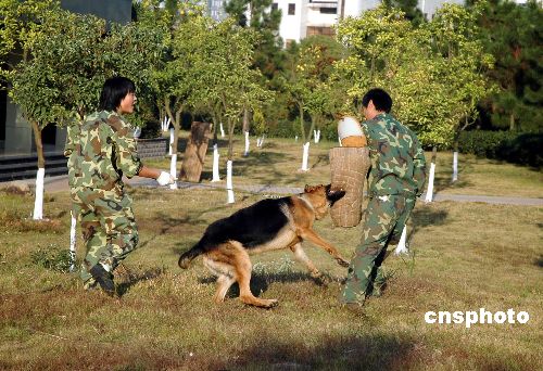 公安部南昌警犬基地