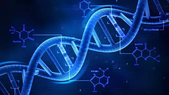 动物和微生物)的结构,功能,发生和发展规律的科学,是自然科学的一个