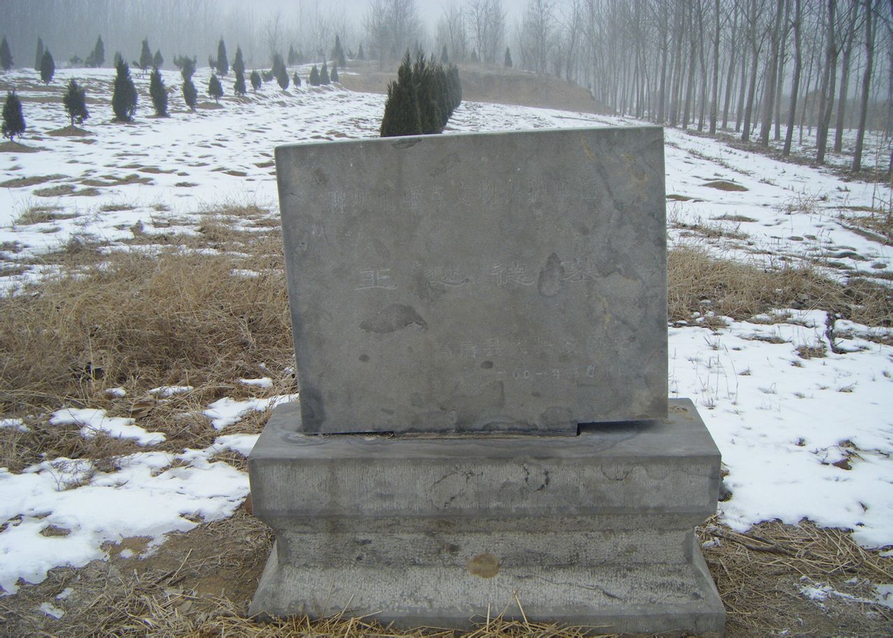  p>王懋德墓位于山东省聊城市 a target="_blank" href="/item/高唐县