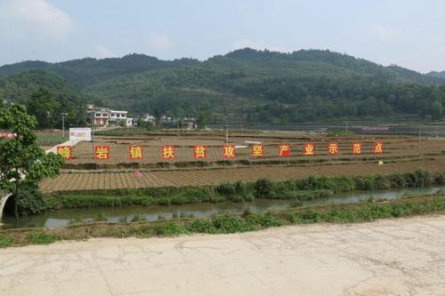  p>蜂岩镇,隶属贵州省遵义市 a target="_blank" href="/item/凤冈县