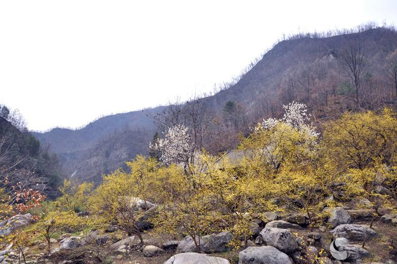  p>米坪镇,隶属于河南省南阳市 a target="_blank" href="/item/西峡