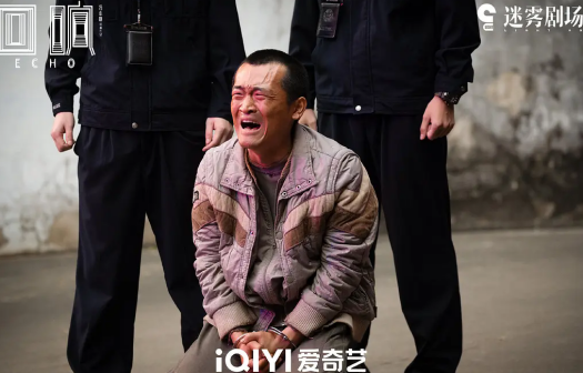 回响（2023年冯小刚执导的悬疑网络剧）_百度百科