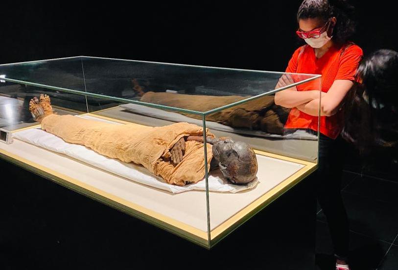 埃及文明博物馆王室木乃伊厅