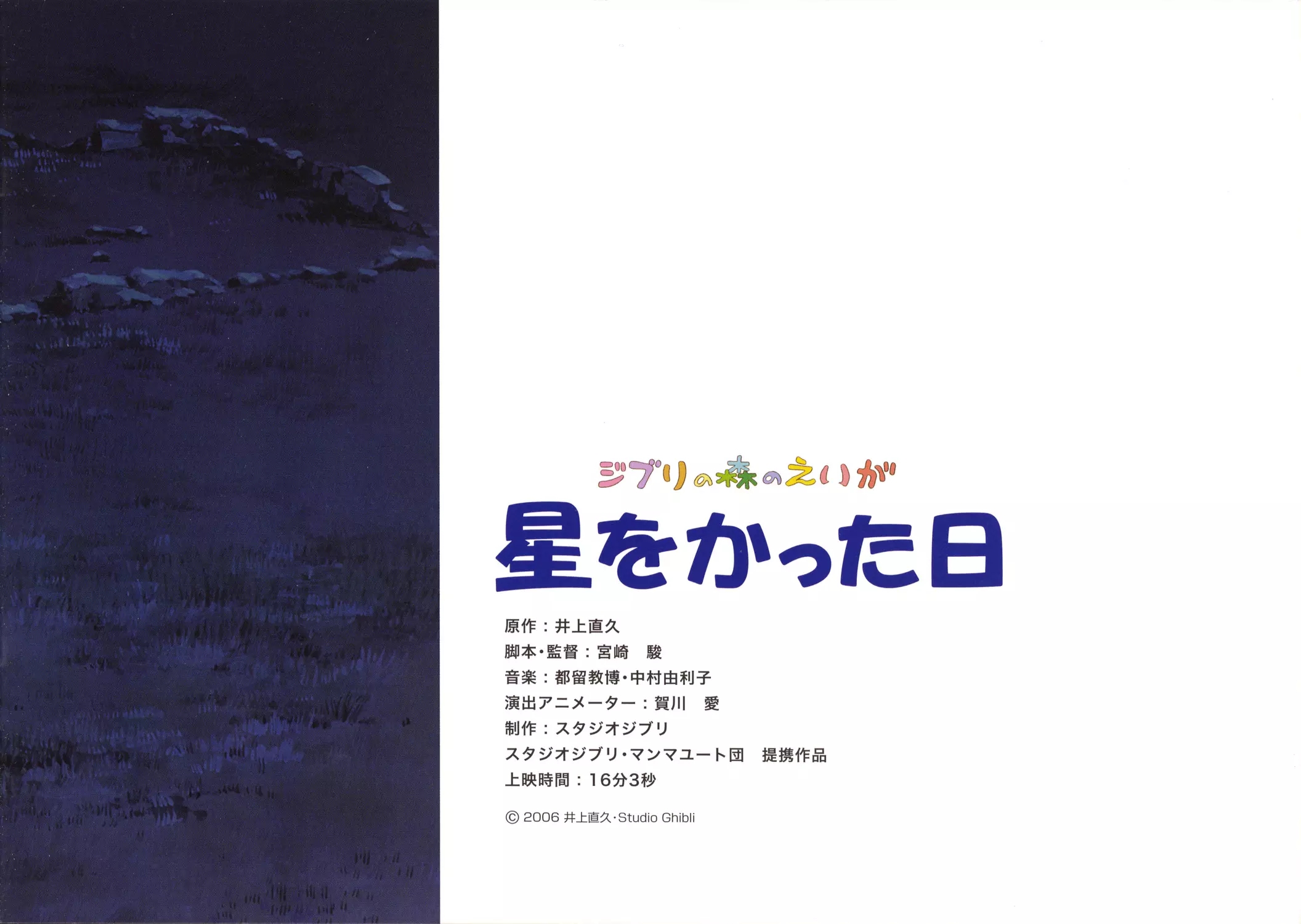 种下星星的日子