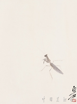 藤箩