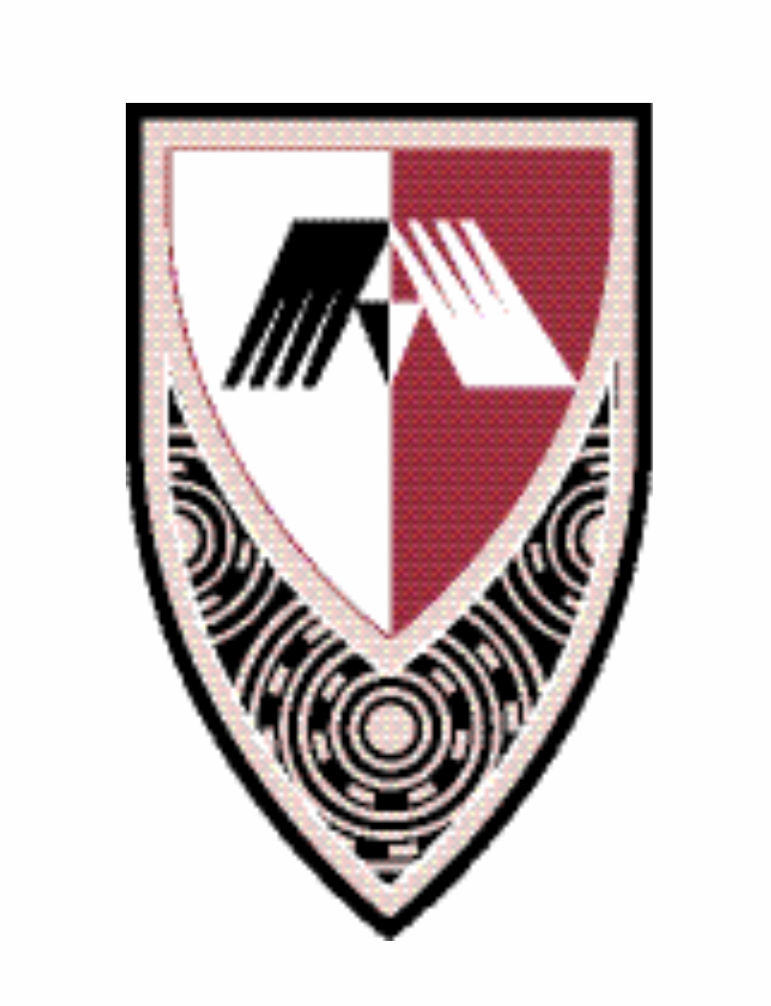 奥克兰理工大学