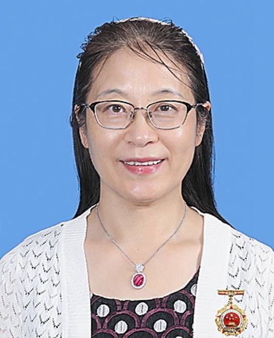 王琪（大连医科大学附属第二医院副院长）_百度百科
