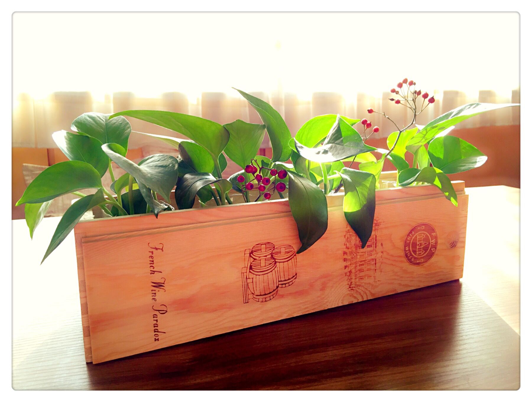  p data-id="t9cjkaptqjgi">红酒盒秒变小花圃是一个手工作品. /p>