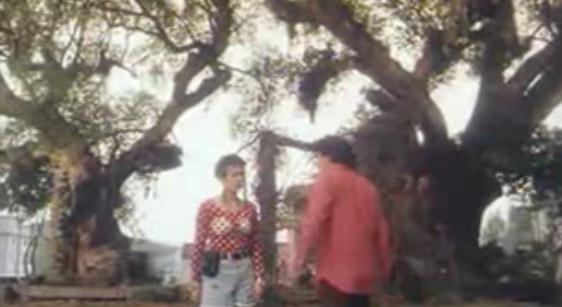 我爱扭纹柴love:nowyouseeit…nowyoudon