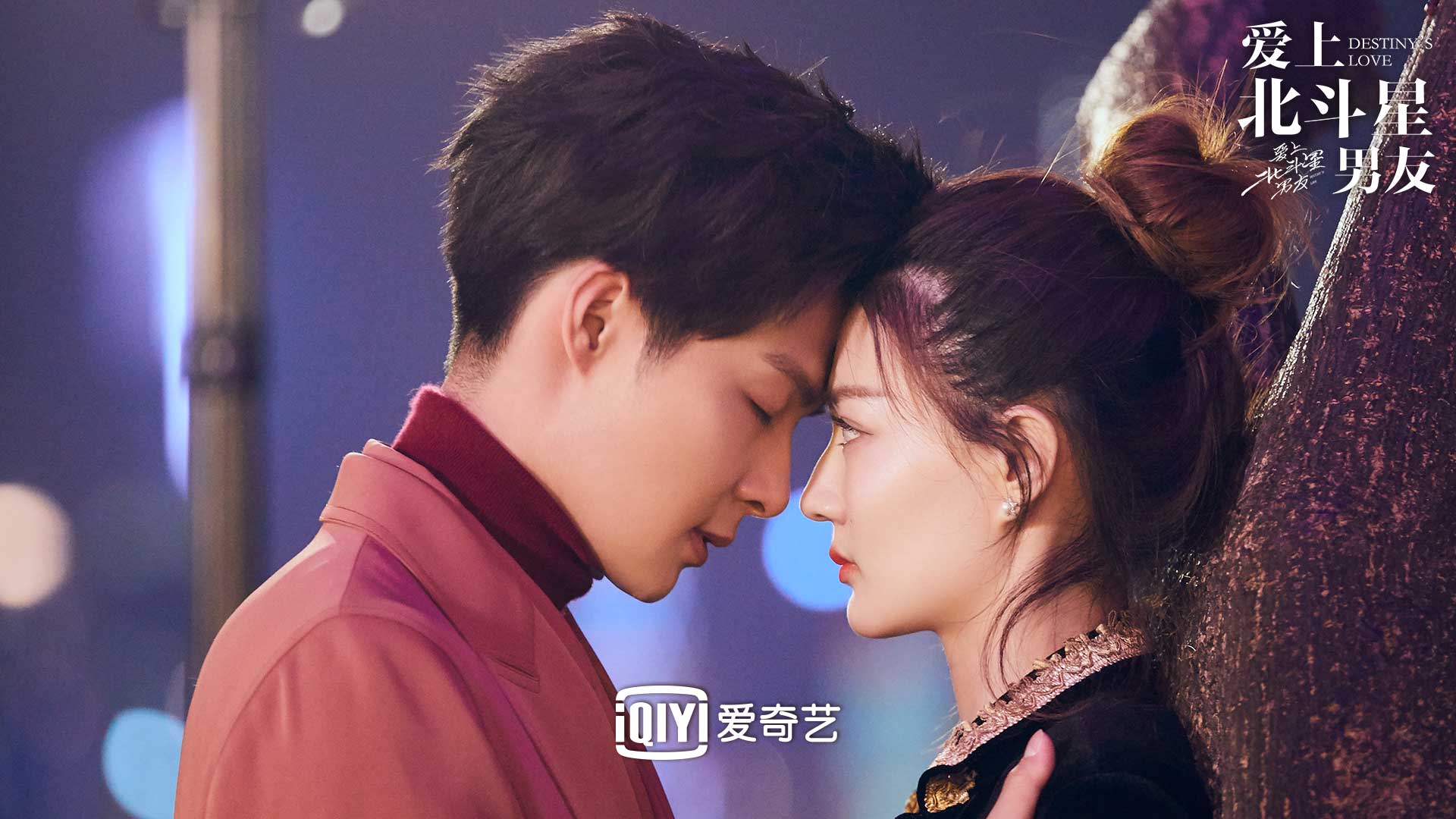 爱上北斗星男友