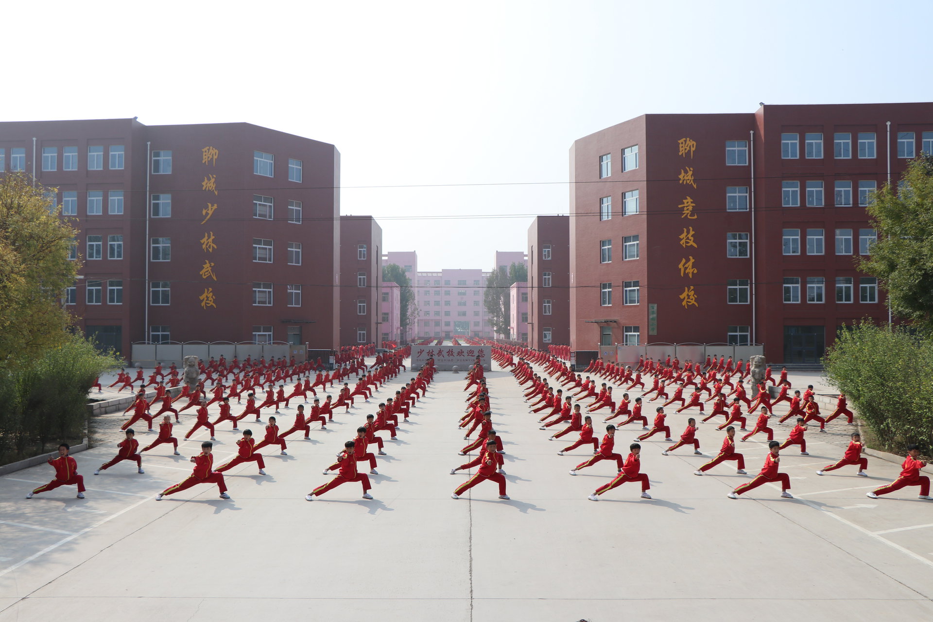 市少林武术学校 /a>,简称:少林武校或聊城少林武校)是一所文武双修,全