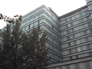 上第moma三期悦moma