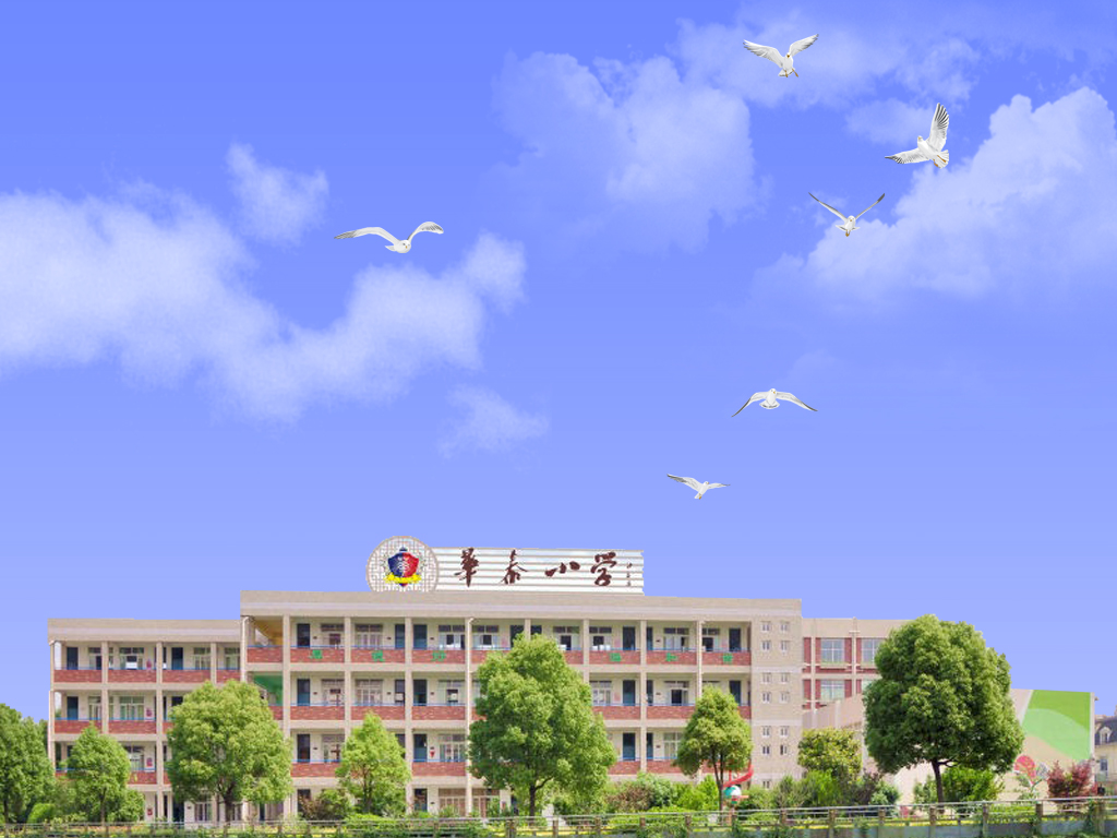 鄞州华泰小学