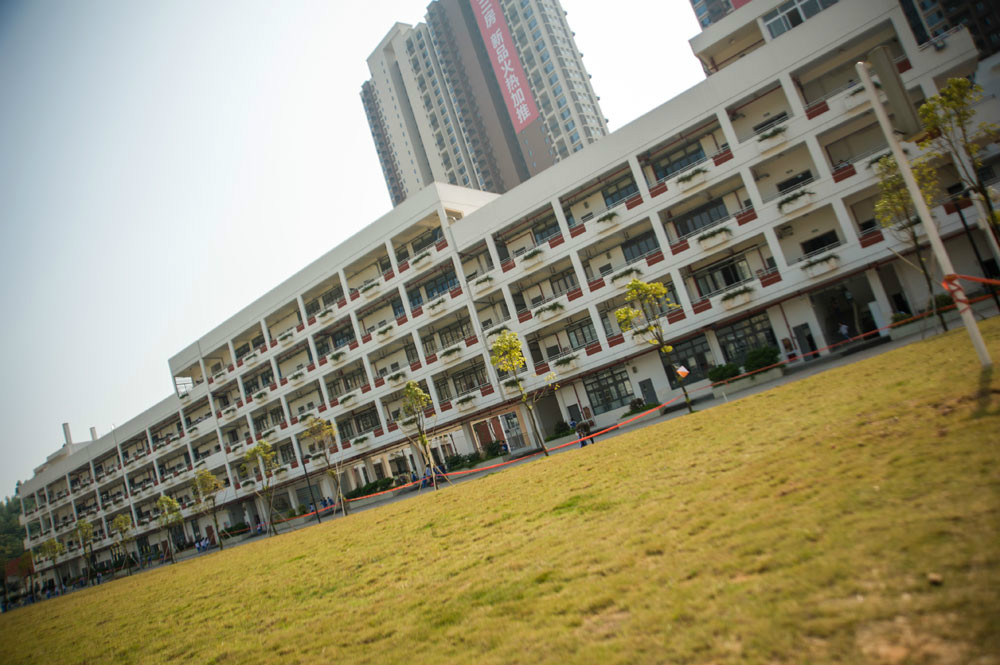 龙岗区宝龙学校