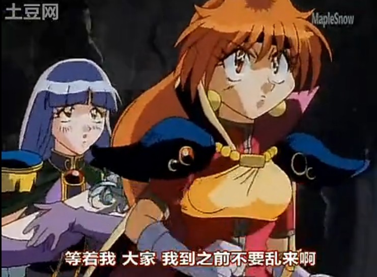 《 a href="#" data-lemmaid="7651">秀逗魔导士 /a>》中虚拟人物