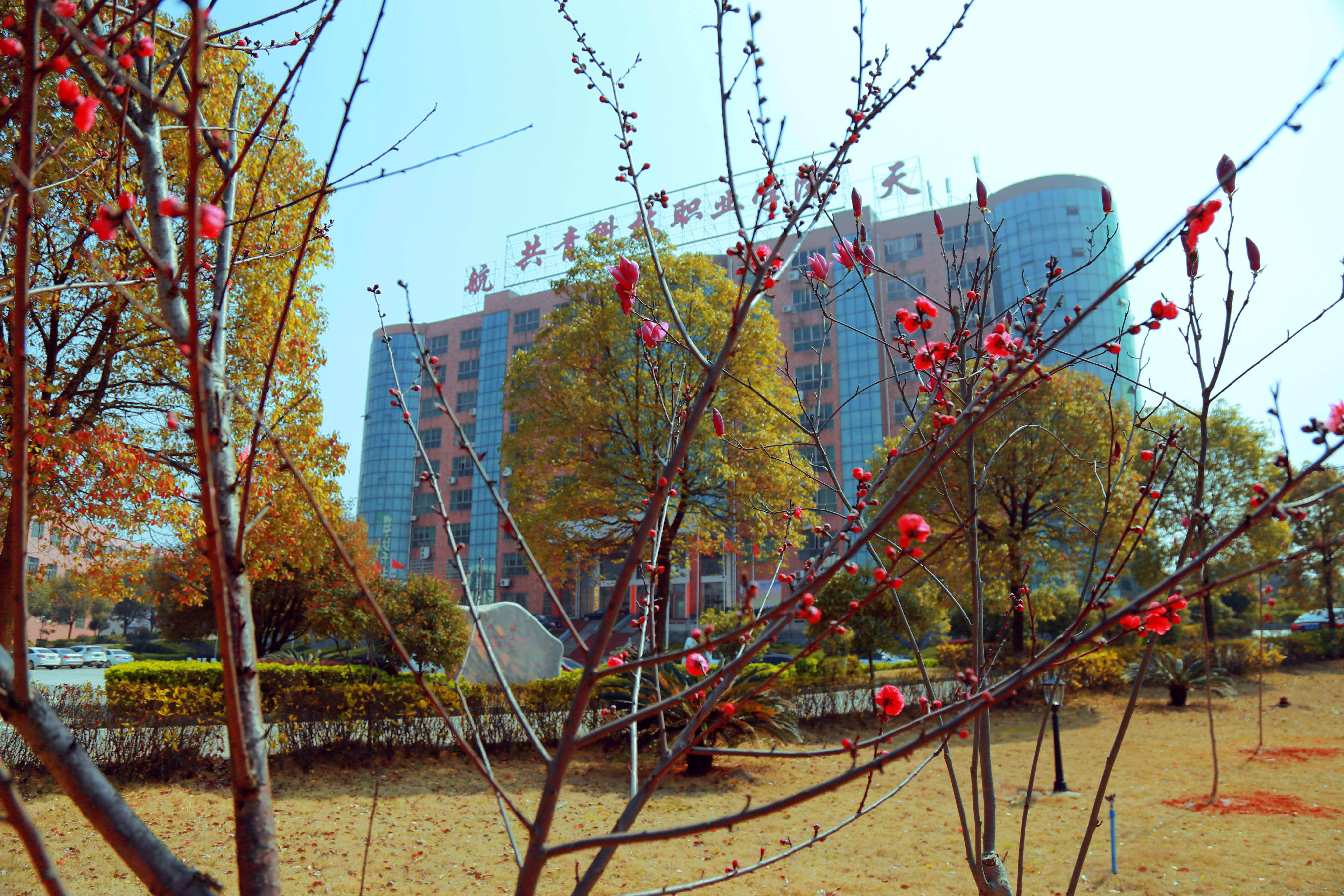  p>共青科技职业学院(gongqing institute of science and technology