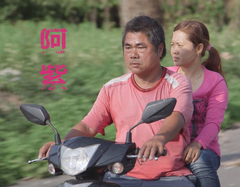  p>《阿紫》是吴郁莹首部执导的纪录长片,以阿龙和阿紫为中心,辐射出