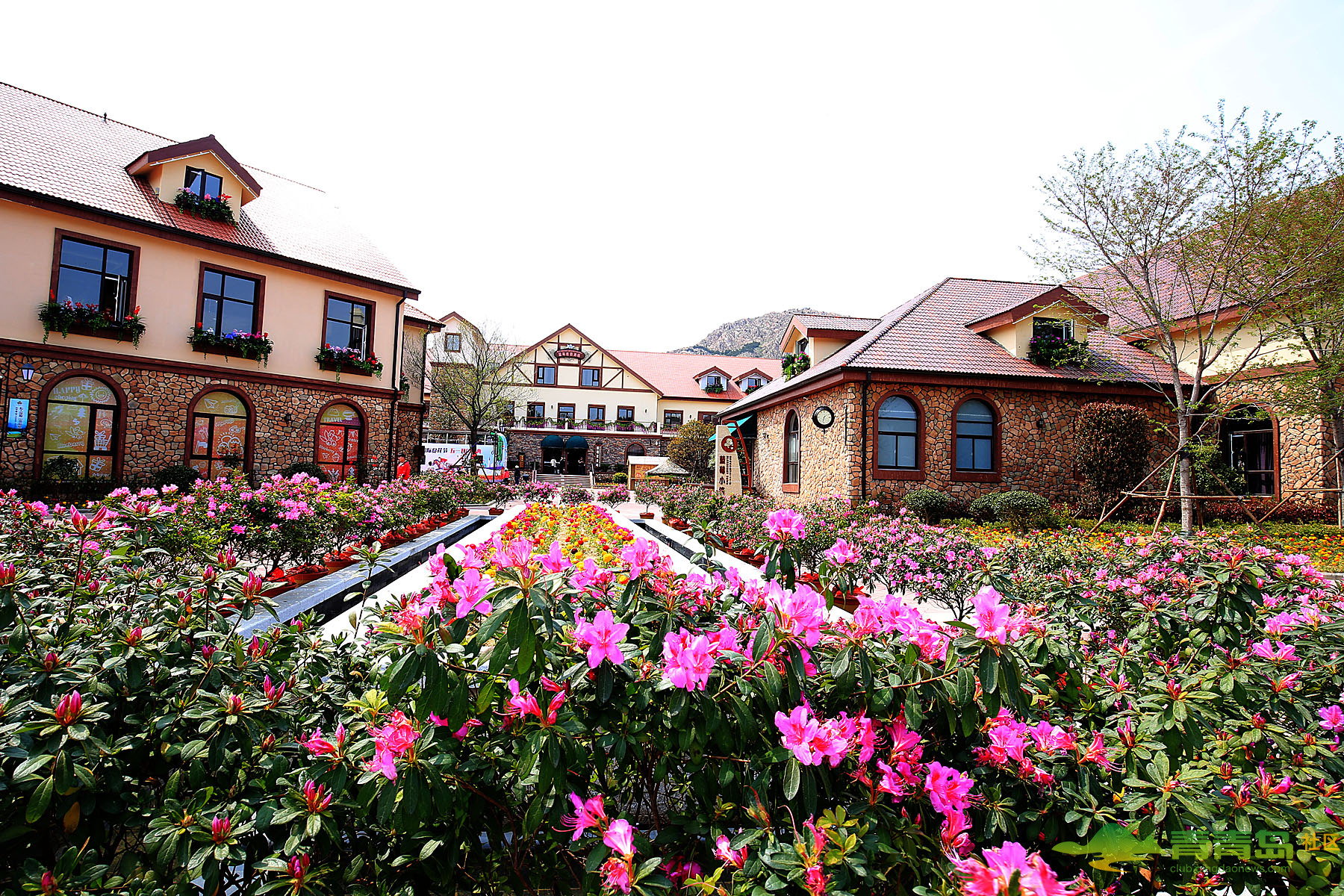 青岛藏马山国际旅游度假区