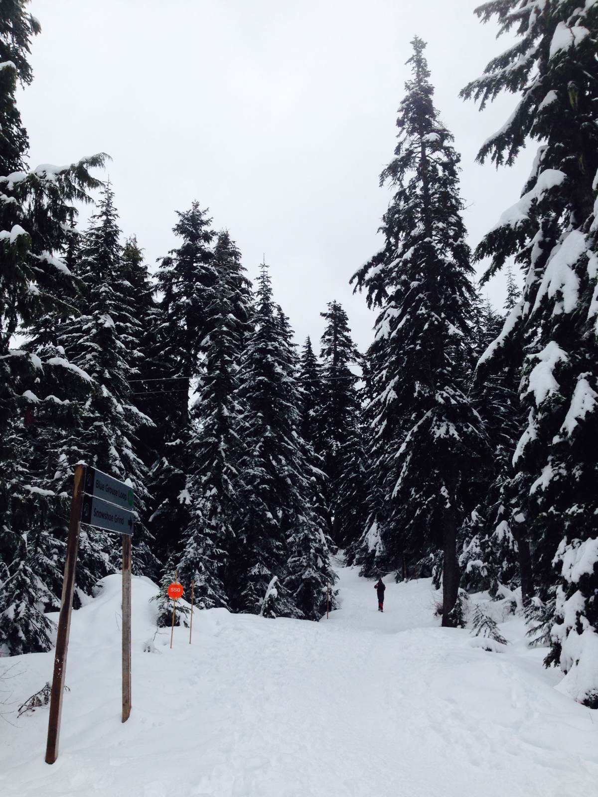 grouse mountain